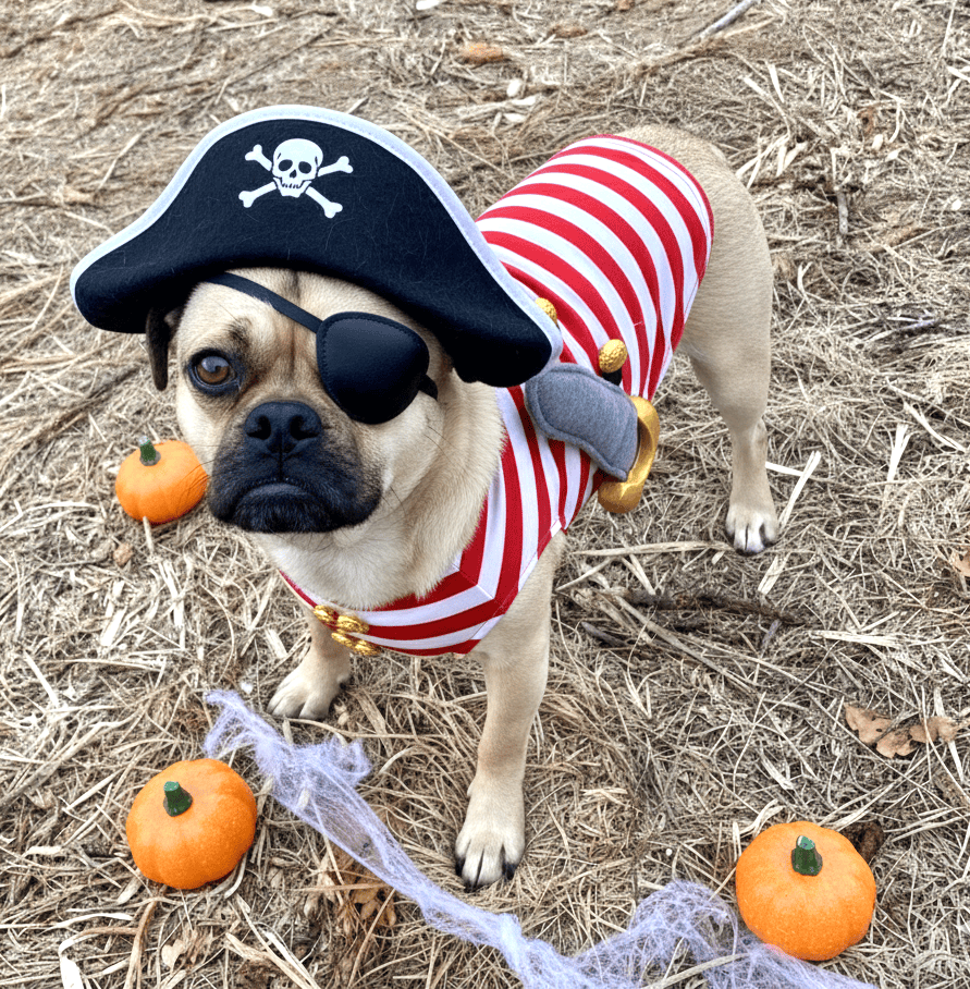 Gemini_Generated_Image_tu9w75tu9w75tu9w