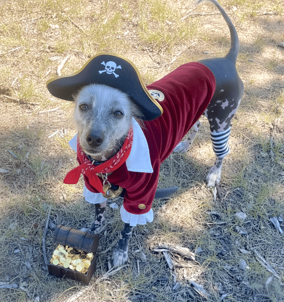 Lolo-Pirate
