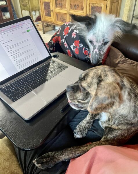 Julie working on the couch with her two dogs near.